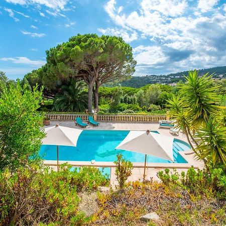 Bed and Breakfast Paradis Provencal Сент-Максім Екстер'єр фото