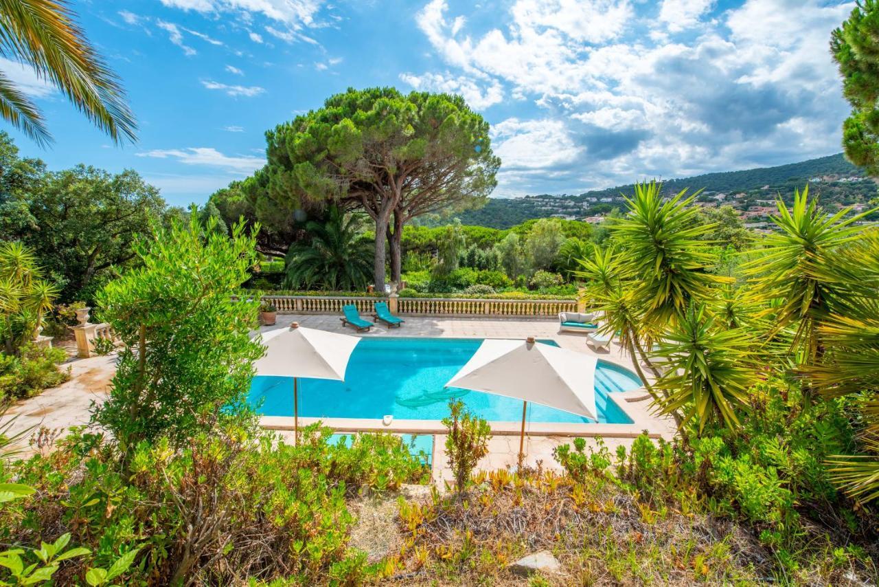 Bed and Breakfast Paradis Provencal Сент-Максім Екстер'єр фото