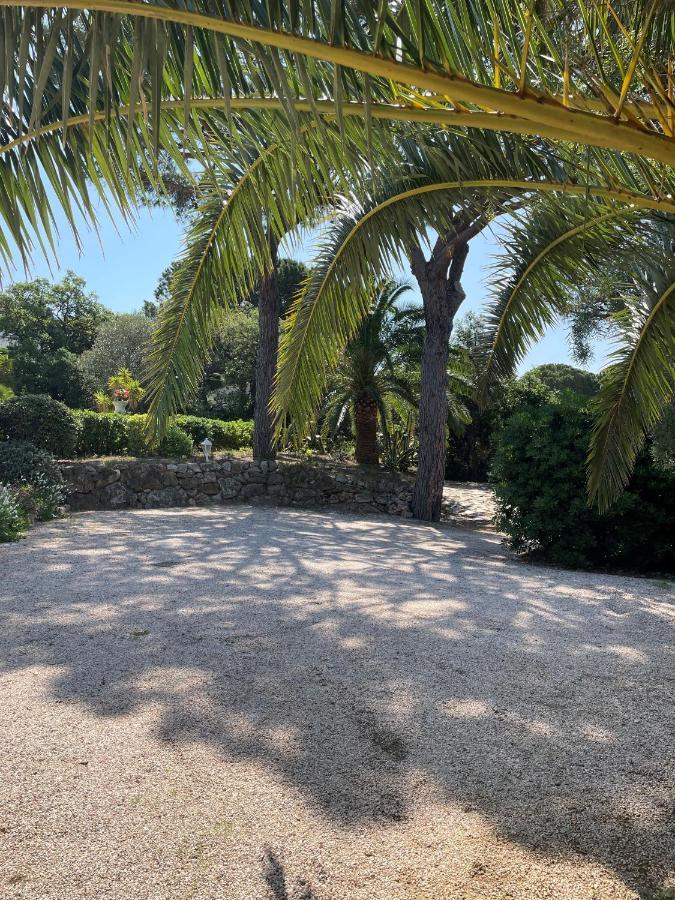 Bed and Breakfast Paradis Provencal Сент-Максім Екстер'єр фото